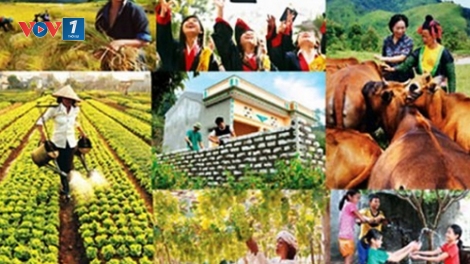 Giải pháp giúp người dân giảm nghèo bền vững (25/4/2019)