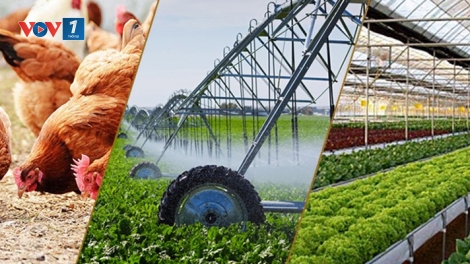 Cần tăng cường hợp tác, liên kết sản xuất và tiêu thụ sản phẩm nông nghiệp (13/4/2019)