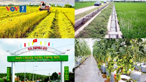 Mới trong nông thôn mới (28/4/2019)