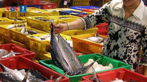Nam Định: Truy xuất nguồn gốc hải sản còn nhiều khó khăn (8/4/2019)