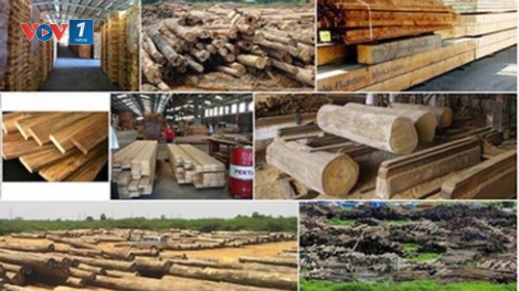 Lâm sản tăng trưởng ngoạn mục: Điểm tựa vững chắc để phát triển lâm nghiệp (15/4/2019)