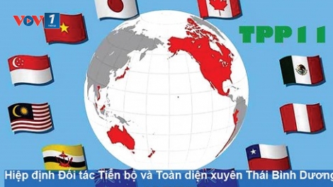 Hiệp định Đối tác toàn diện và tiến bộ xuyên Thái Bình Dương - Khó khăn ngay trước mắt (9/5/2019)