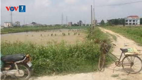 Lấn chiếm đất nông nghiệp ở Hưng Yên: Phải xử lý dứt điểm (8/5/2019)