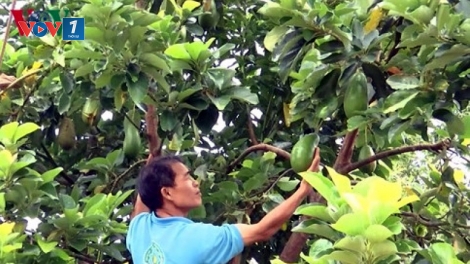 Bài viết cuối trong loạt bài “Nông nghiệp Tây Nguyên: Tìm động lực cho giai đoạn mới” với nhan đề “Đề cao văn hóa nông nghiệp, khích lệ tinh thần doanh nhân” (17/5/2019)