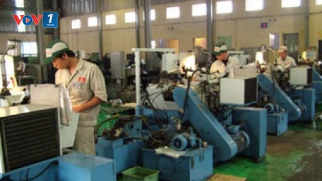 Công ty cổ phần phát triển Toàn cầu Dương Hiếu bị xử phạt hành chính (16/5/2019)