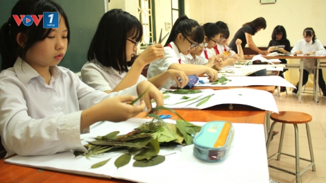 Để môi trường giáo dục thực sự trong lành, nơi khơi nguồn những hình ảnh yêu thương, sẻ chia và việc làm tử tế (4/5/2019)