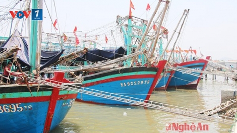 Nghệ An: Gỡ khó để ngư dân Quỳnh Lập vươn khơi (20/5/2019)
