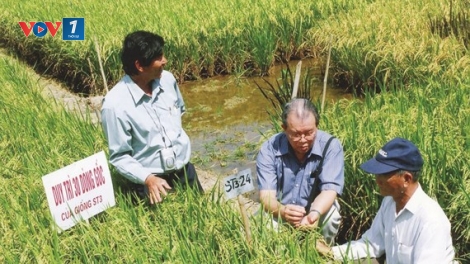 Để doanh nghiệp “gieo mầm” nhiều hơn trên mảnh đất nông nghiệp (4/5/2019)