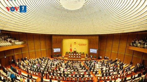 Nghị viện điện tử: Yêu cầu từ thực tiễn (20/5/2019)
