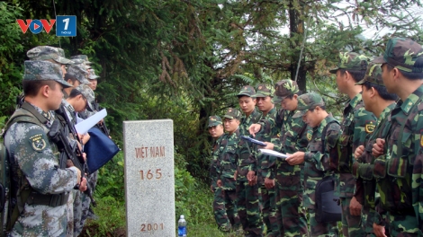 Mầm non của sự sống hồi sinh từ bom đạn chiến tranh (4/5/2019)