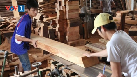 Hiệp định chống khai thác gỗ bất hợp pháp giữa Việt Nam và EU được phê duyệt: Hướng mở cho xuất khẩu gỗ của Việt Nam (9/5/2019)