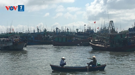 Ngư dân Việt Nam ra khơi trước lệnh cấm đánh bắt cá của Trung Quốc (13/5/2019)