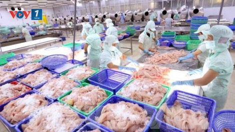 Các địa phương nỗ lực thực hiện giải pháp khắc phục thẻ vàng (13/6/2019)