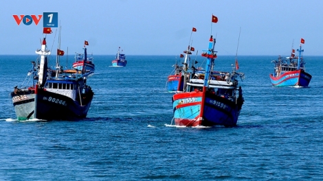 Phát triển kinh tế biển bền vững: Cần thay đổi từ nhận thức của ngư dân và chính quyền địa phương (24/6/2019)
