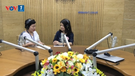 Tư vấn du lịch mùa hè (16/6/2019)