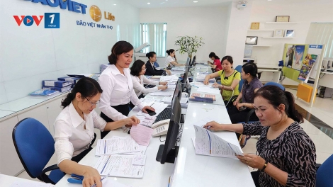 Doanh thu từ khối bảo hiểm nhân thọ sụt giảm (27/6/2019)