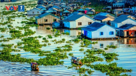 Giải pháp nào giúp đồng bằng sông Cửu Long thích ứng với biến đổi khí hậu? (3/6/2019)