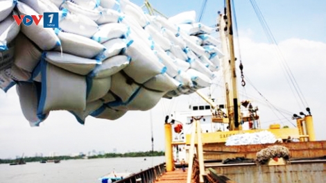 Xuất khẩu gạo của Việt Nam phải tính chuyện đường dài (28/6/2019)