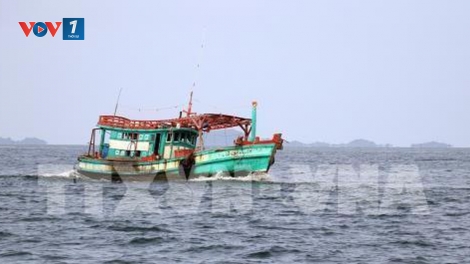 Các địa phương đẩy mạnh triển khai lắp đặt các thiết bị giám sát hành trình cho tầu cá (27/6/2019)