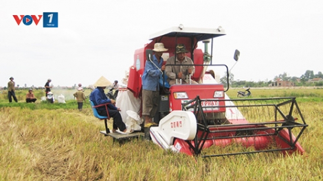 Phát huy vai trò của Hợp tác xã trong xây dựng nông thôn mới (15/6/2019)