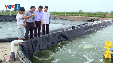Đột phá kinh tế nhờ nuôi trồng thủy sản an toàn (25/6/2019)