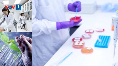 Phát triển thị trường công nghệ sinh học – không nhanh sẽ mất cơ hội (8/6/2019)