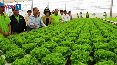 Ứng dụng khoa học công nghệ: Hướng đi cho các hợp tác xã (12/6/2019)