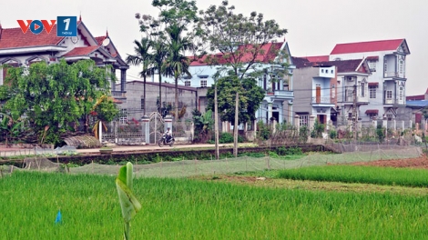 Nông thôn mới Vĩnh Phúc: Giải pháp tăng thu nhập cho nông dân (12/6/2019)