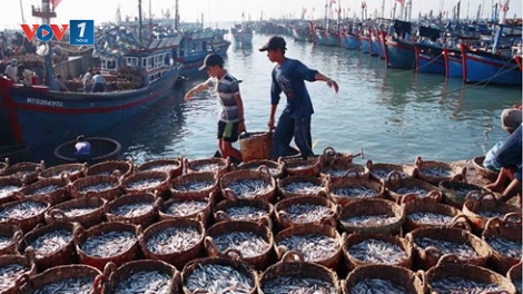 Loạt bài “Phát triển nghề cá bền vững, có trách nhiệm”.- Bài cuối: "Phát triển nghề cá bền vững” (26/6/2019)
