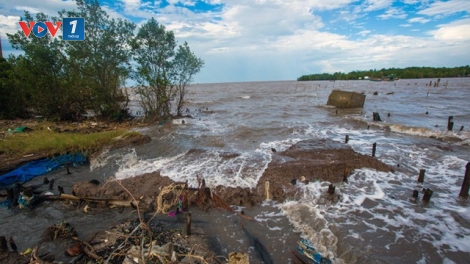 Chống sạt lở bờ sông, bờ biển do biến đổi khí hậu (30/6/2019)