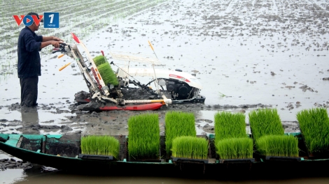 Các ứng dụng công nghệ tiên tiến giảm phát thải khí nhà kính trong chăn nuôi (6/6/2019)