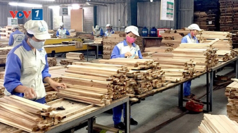 Kim ngạch xuất khẩu gỗ của Việt Nam tăng mạnh (26/6/2019)