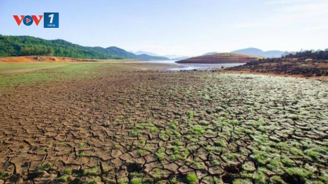 Ứng phó trước tình trạng sông Mekong khô kiệt (30/7/2019)