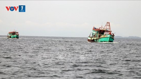 Kiên Giang quyết liệt ngăn chặn khai thác thủy sản bất hợp pháp (20/7/2019)