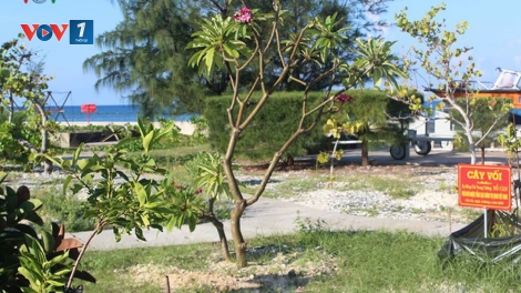 Loạt bài: Trường Sa: Thành phố xanh giữa biển khơi. Bài 1: "Lá phổi xanh" giữa biển khơi  (29/7/2019).