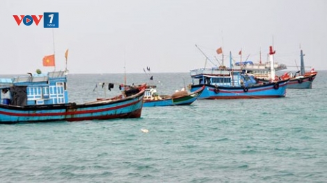 Cần chấn chỉnh các vi phạm về khai thác trên biển (10/7/2019)