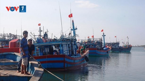 Lắp đặt thiết bị giám sát hành trình trên tàu cá và những vấn đề liên quan (16/7/2019)