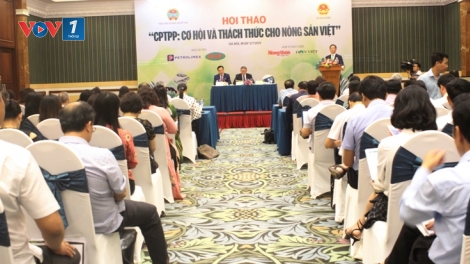 Sân chơi CPTPP và thách thức với nông sản Việt (6/7/2019)
