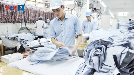Gian lận xuất xứ hàng hóa: Doanh nghiệp dệt may thua thiệt (25/7/2019)