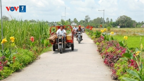 Bí quyết thành công trong xây dựng nông thôn mới ở Đồng bằng sông Cửu Long (18/7/2019)