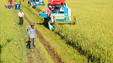 Áp dụng mô hình mới ứng dụng công nghệ trong sản xuất nông nghiệp thích ứng với biến đổi khí hậu (3/7/2019)