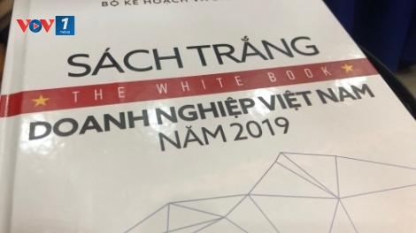 Sách Trắng Doanh nghiệp 2019: “Tài nguyên” đặc biệt! (11/7/2019)