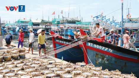 Ngành thủy sản nỗ lực vượt khó (8/7/2019)