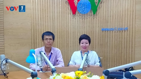 Công nghệ thông tin Việt- Nhật có gì hấp dẫn? (14/7/2019)