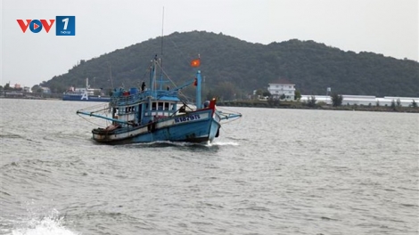 Hoạt động tuần tra kiểm soát nghề cá trên biển của lực lượng kiểm ngư gắn với việc khắc phục thẻ vàng Châu Âu (11/7/2019)