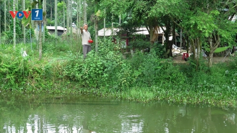 Làm giàu với mô hình kinh tế trang trại (30/7/2019)