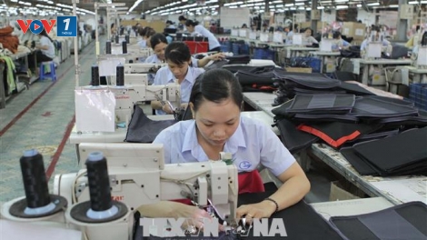 EVFTA và cơ hội quản trị doanh nghiệp, mở rộng thị trường (1/7/2019)