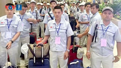 Chương trình đưa lao động thời vụ sang Hàn Quốc làm việc - Cơ hội và những cảnh báo (11/7/2019)