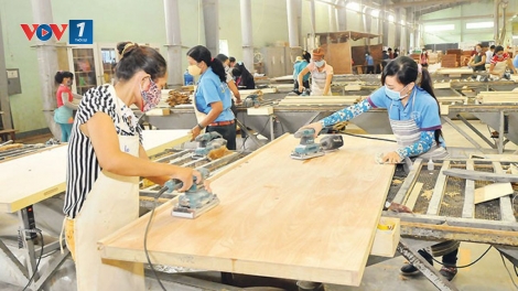 Ngành lâm nghiệp và mục tiêu xuất khẩu 10,5 tỷ đô la trong năm nay (15/7/2019)