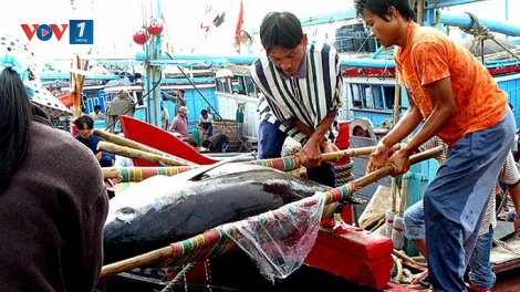 Nghị định 26 đưa Luật Thủy sản vào cuộc sống (22/7/2019)